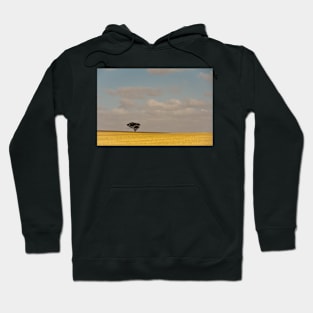 Field of Gold Hoodie